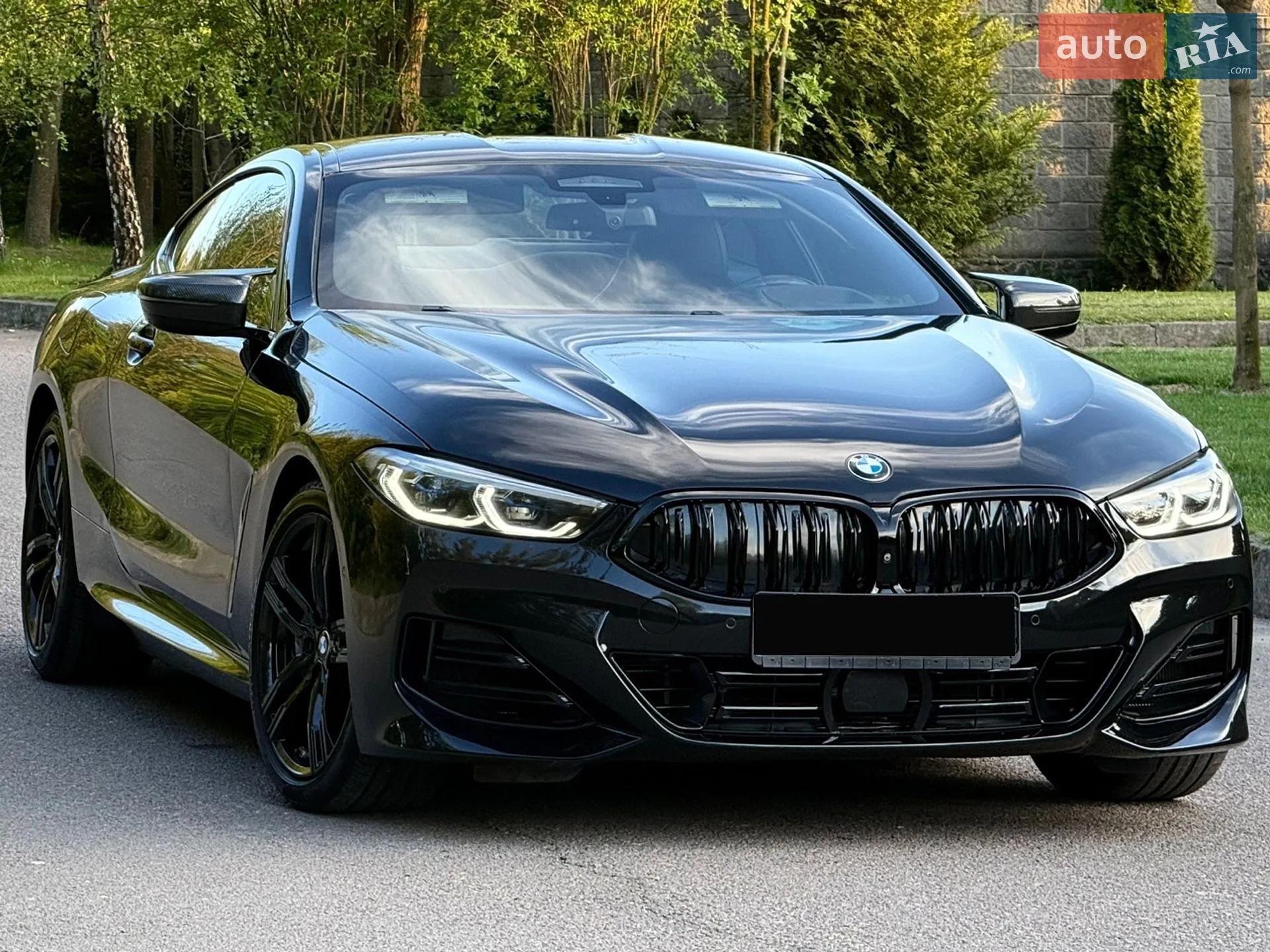 2019 BMW 8er - мініатюра 82
