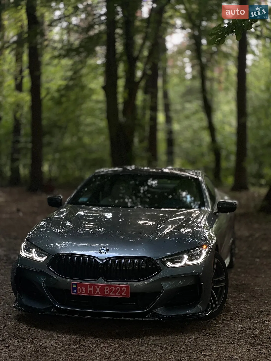 2022 BMW 8er - фото 1