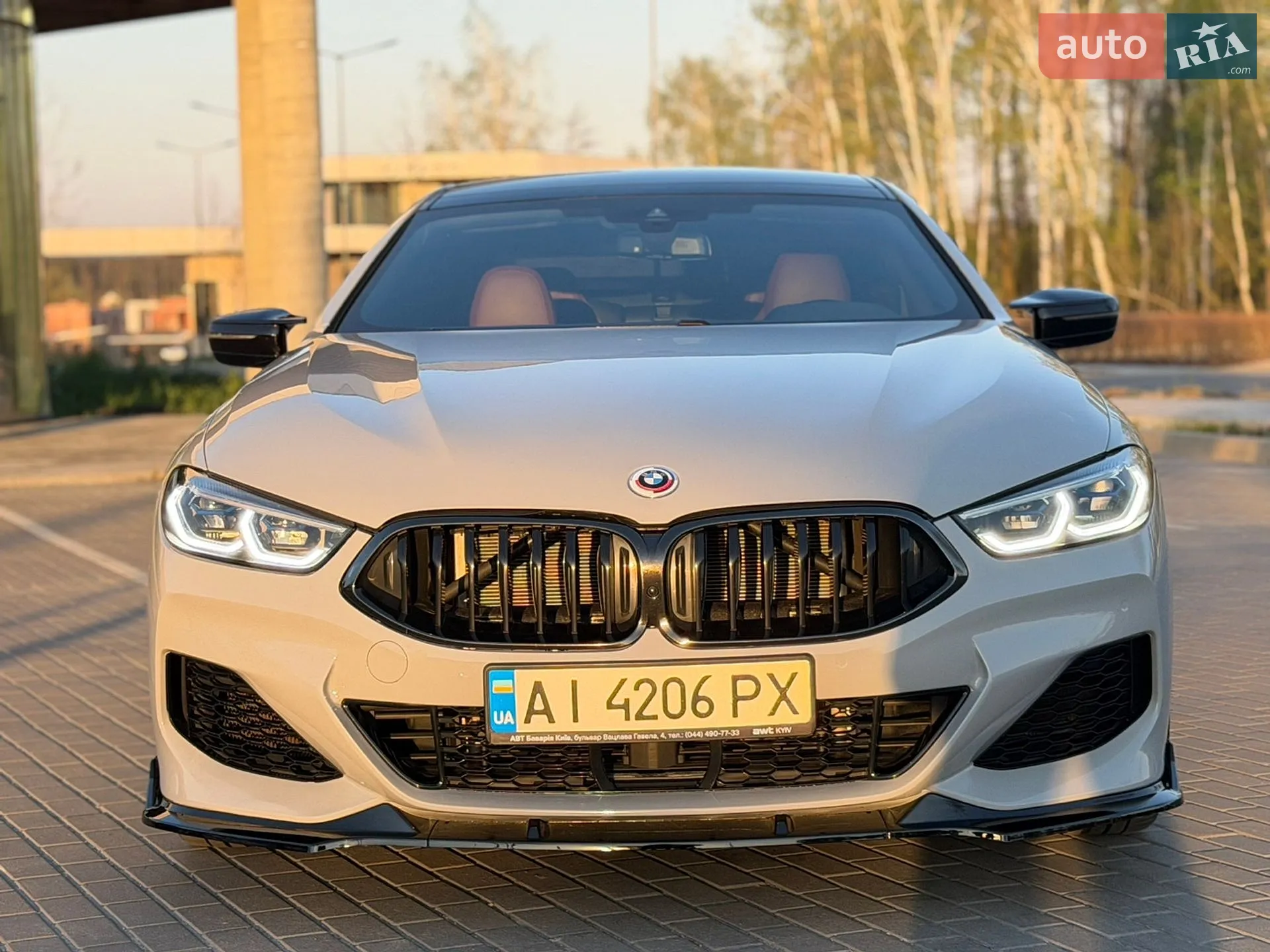 2019 BMW 8er - мініатюра 7