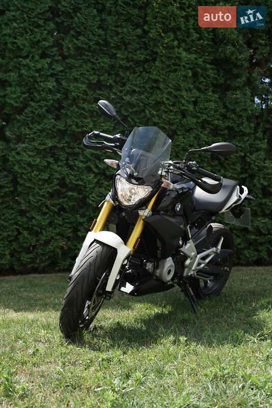 BMW G 310R 2018