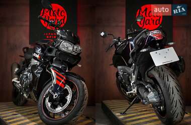 Мотоцикл Многоцелевой (All-round) BMW K 1300R 2010 в 