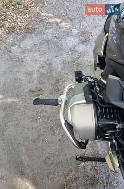 Мотоцикл Без обтекателей (Naked bike) BMW R 1250R 2021 в 