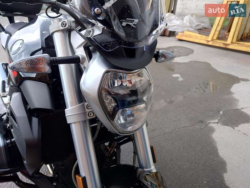 Мотоцикл Без обтекателей (Naked bike) BMW R 1250R 2022 в Днепре