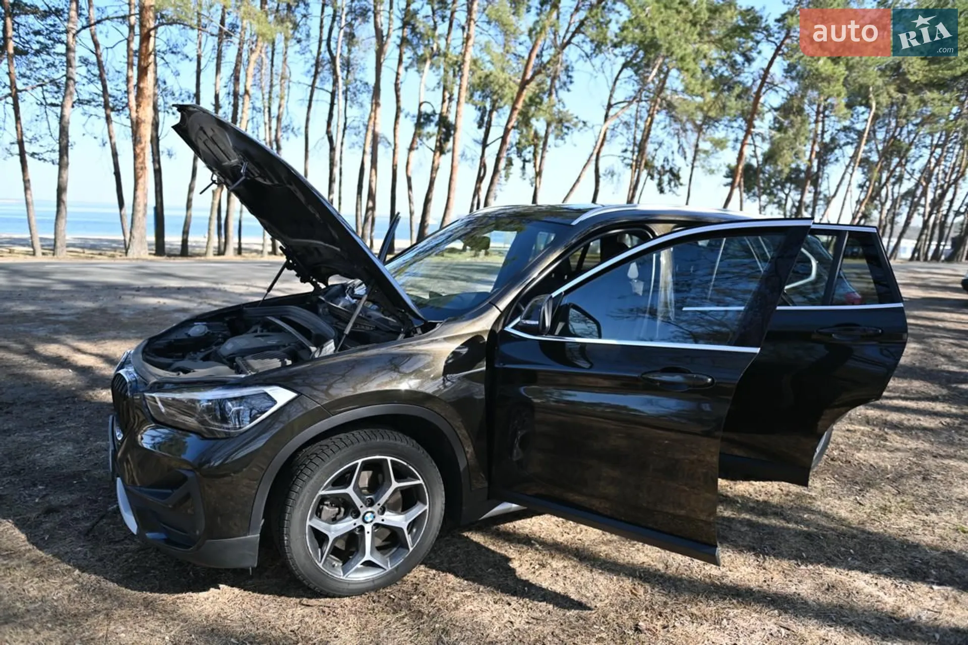 2019 BMW X1 - мініатюра 2