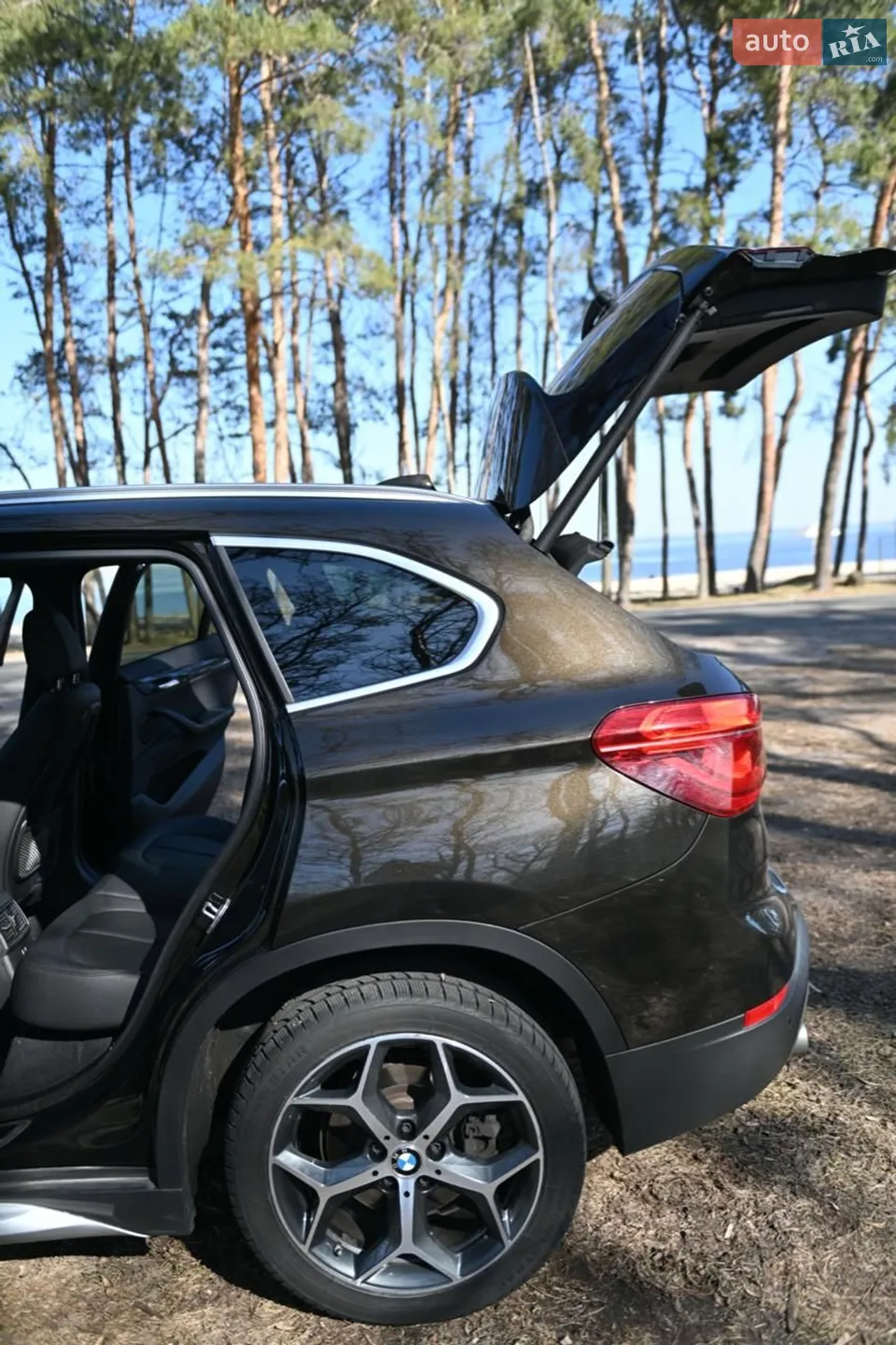 2019 BMW X1 - мініатюра 8