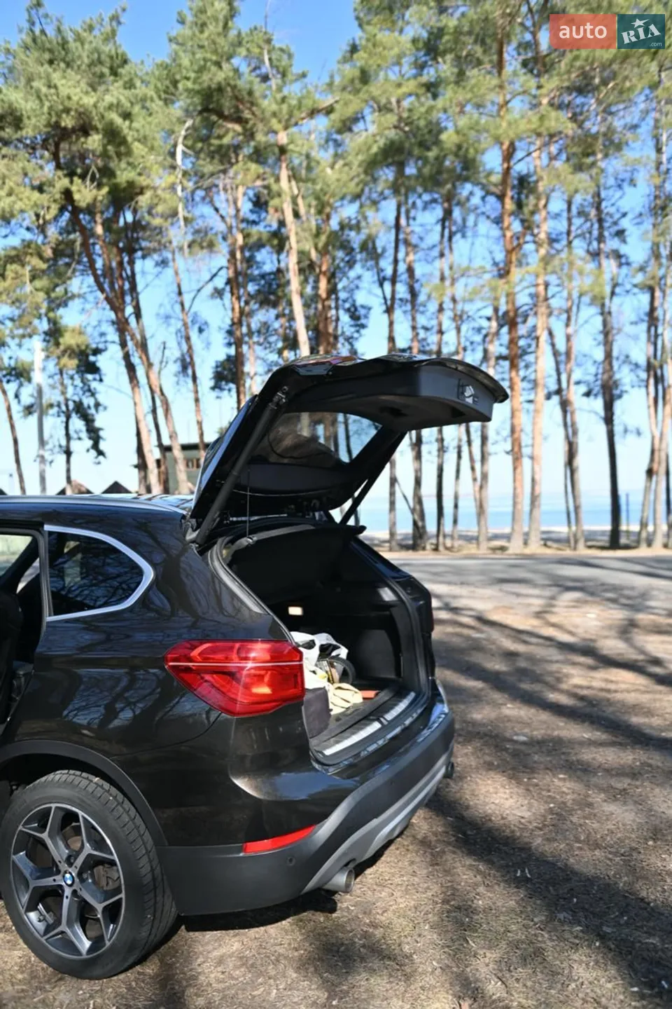 2019 BMW X1 - мініатюра 12