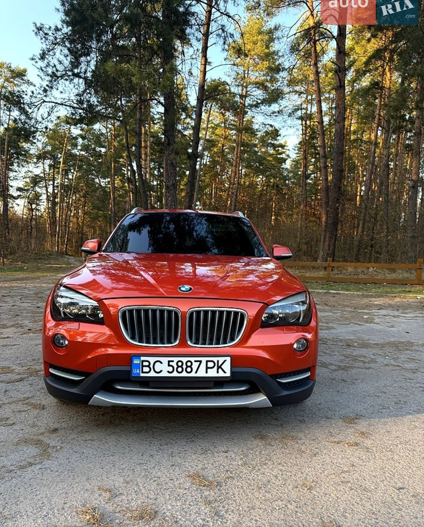 2013 BMW X1 - фото 1