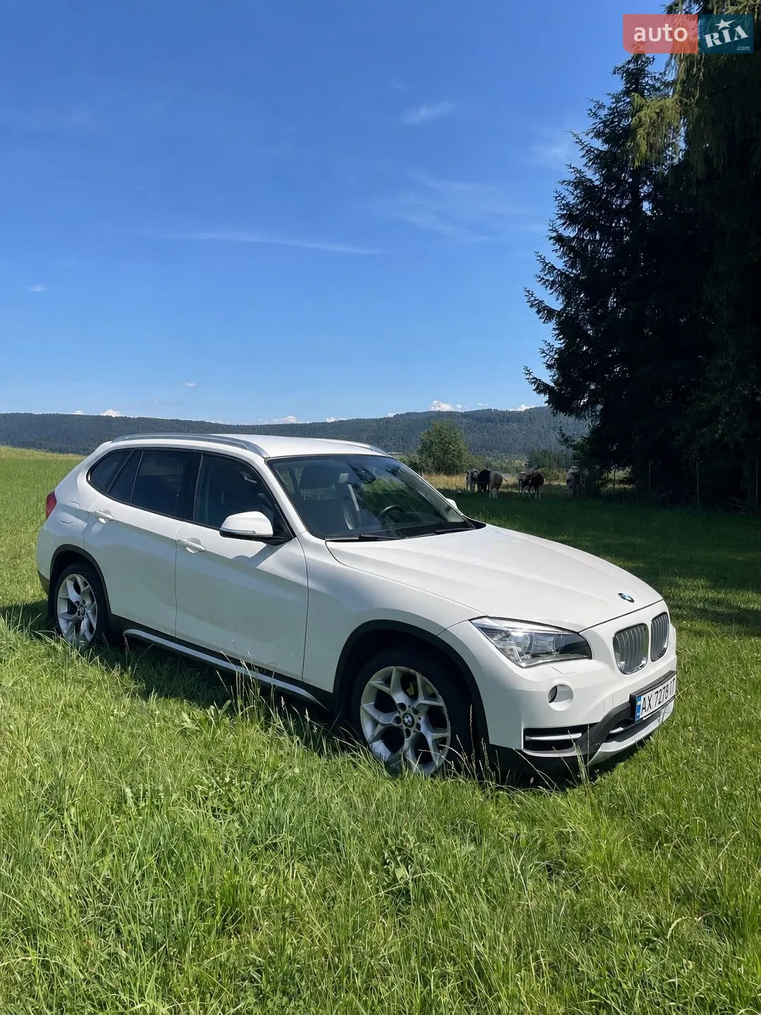 2013 BMW X1 - мініатюра 13