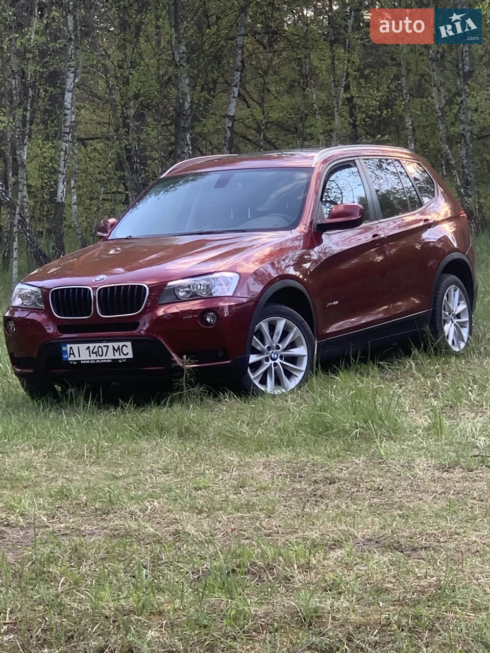 2011 BMW X3 - мініатюра 12