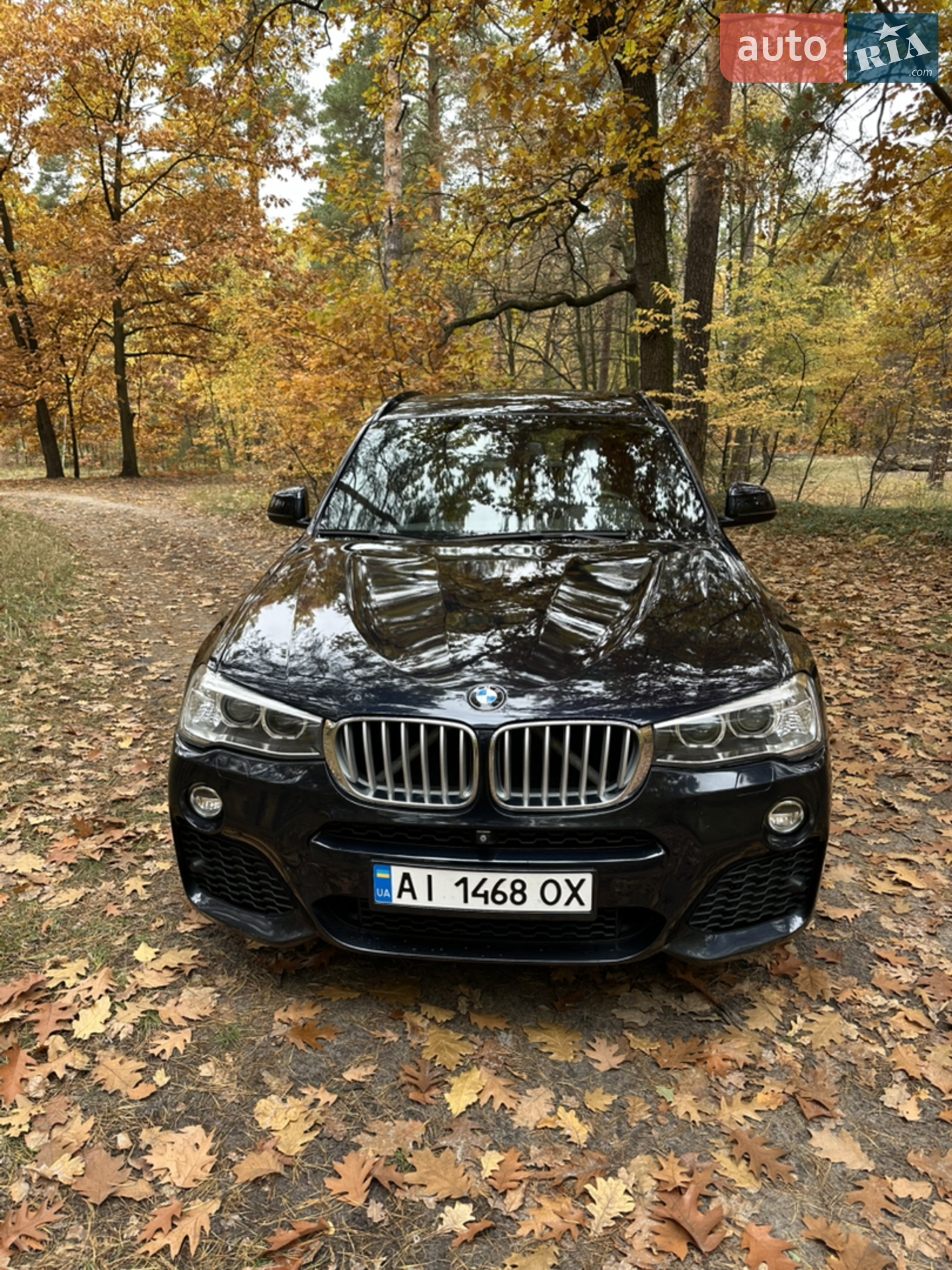 2016 BMW X3 - мініатюра 8