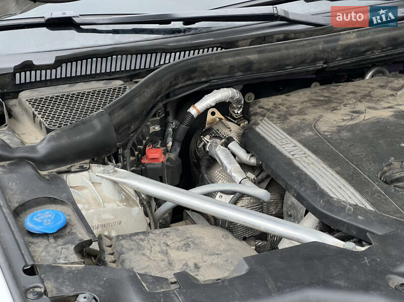Внедорожник / Кроссовер BMW X3 2021 в Львове фото 161 Внедорожник / Кроссовер BMW X3 2021 в Львове