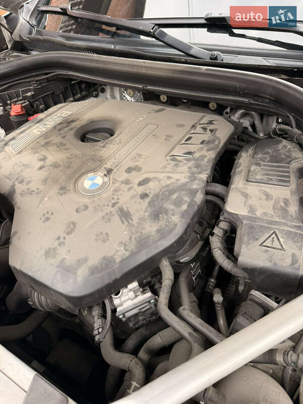 Внедорожник / Кроссовер BMW X3 2018 в Кропивницком фото 39 Внедорожник / Кроссовер BMW X3 2018 в Кропивницком