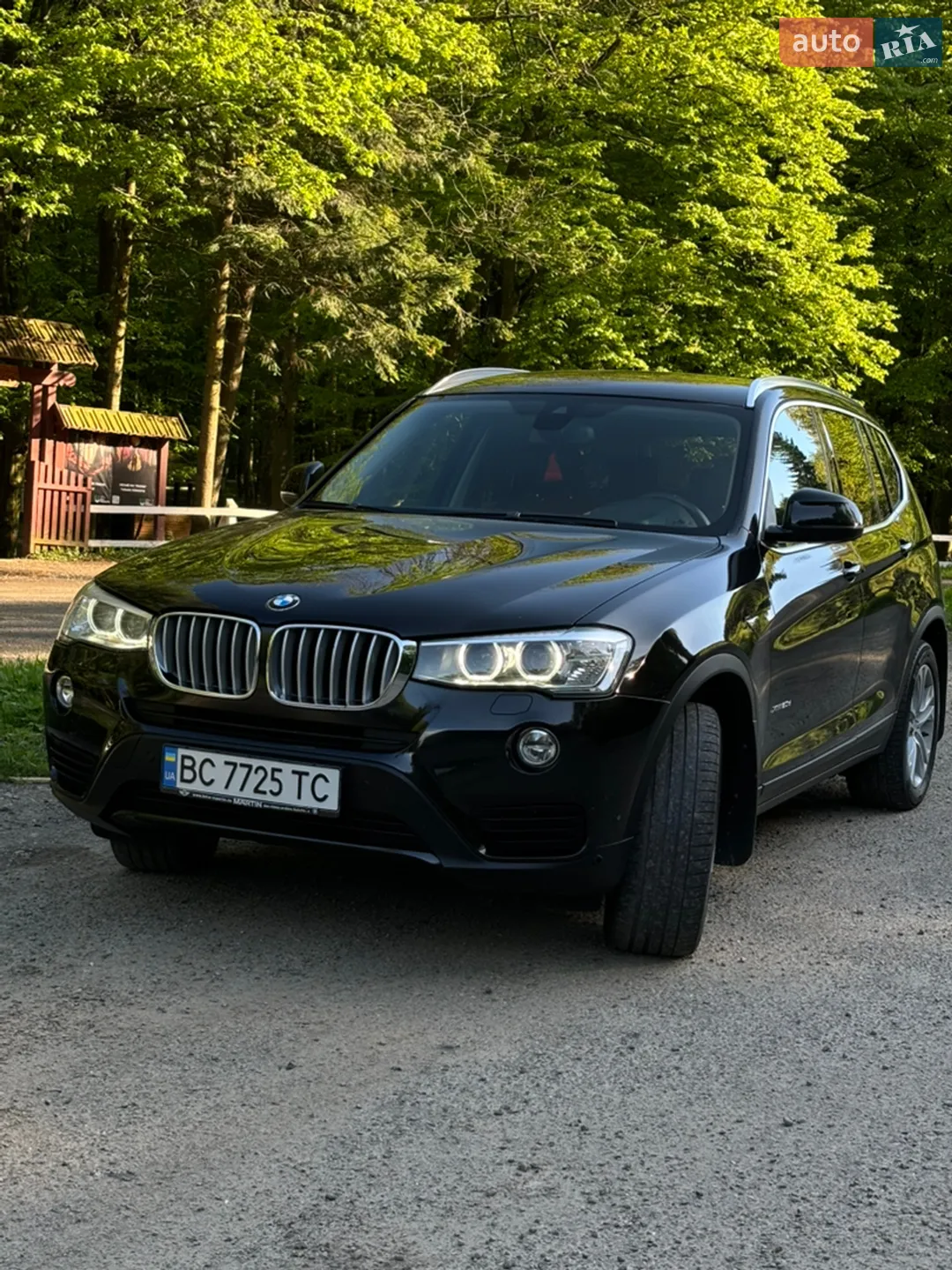 2014 BMW X3 - мініатюра 5