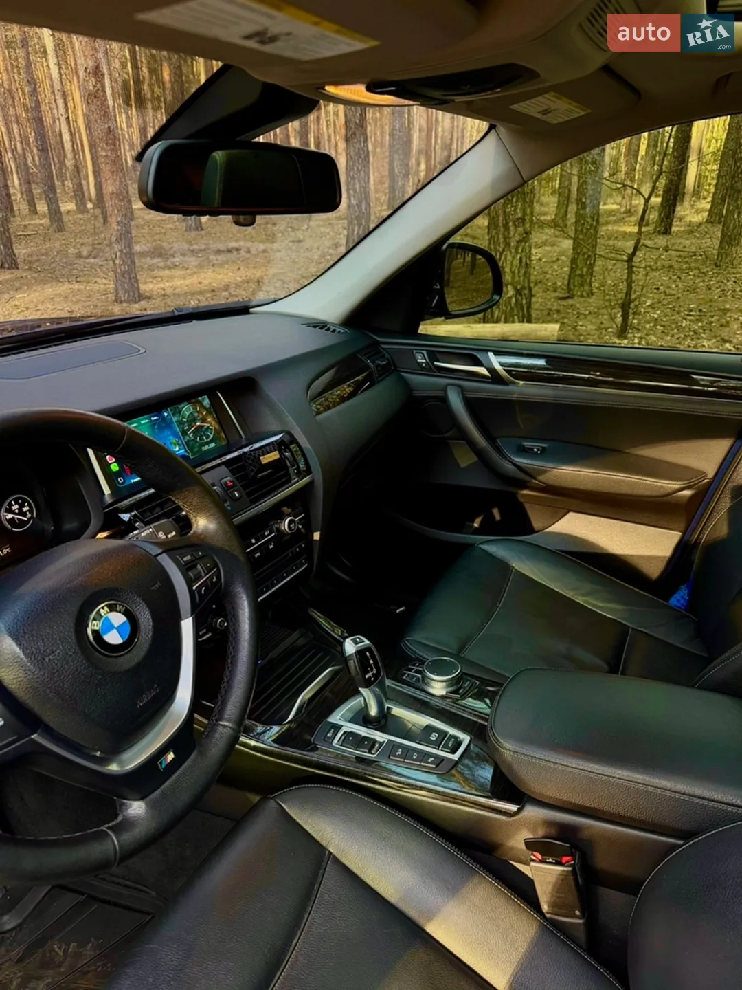 2017 BMW X3 - мініатюра 14