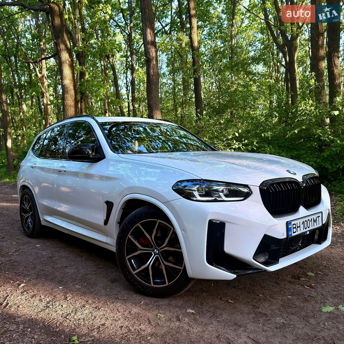 2019 BMW X3 - мініатюра 2