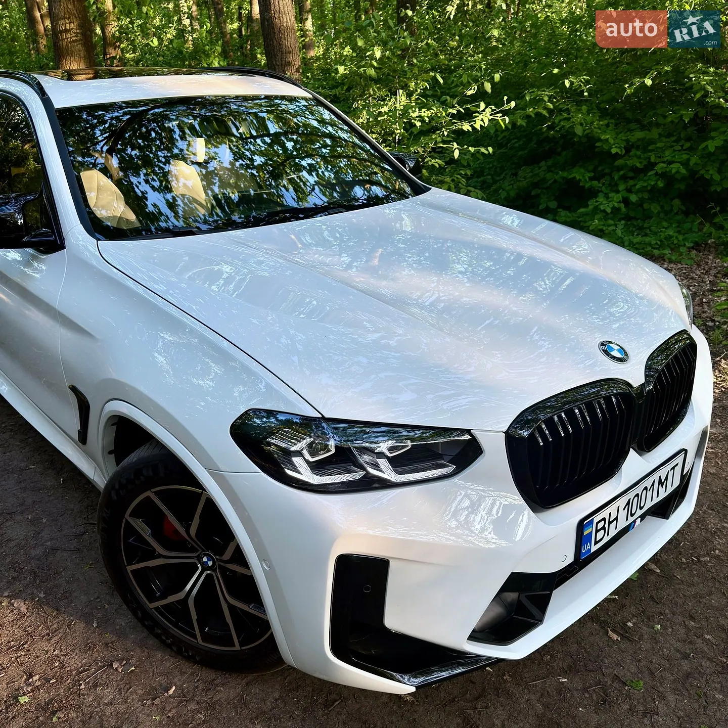 2019 BMW X3 - мініатюра 8