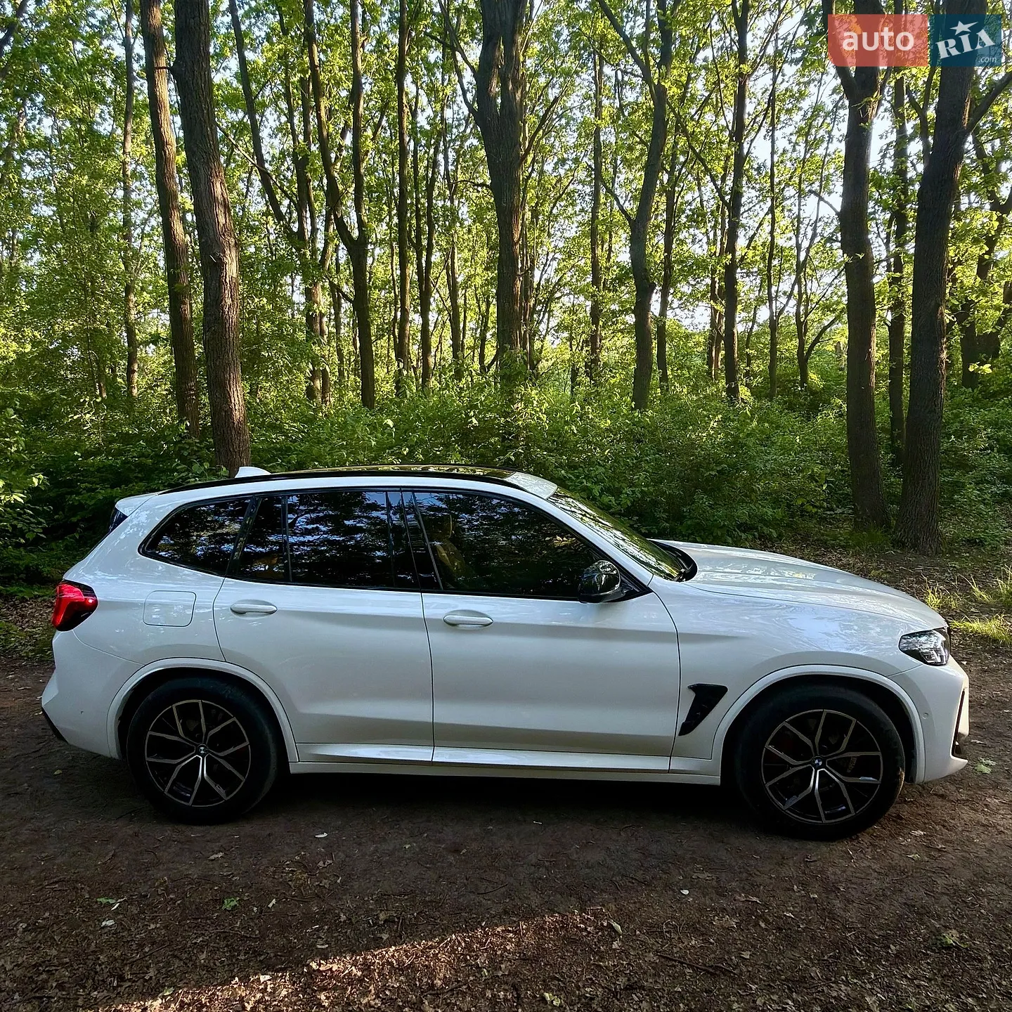 2019 BMW X3 - мініатюра 11