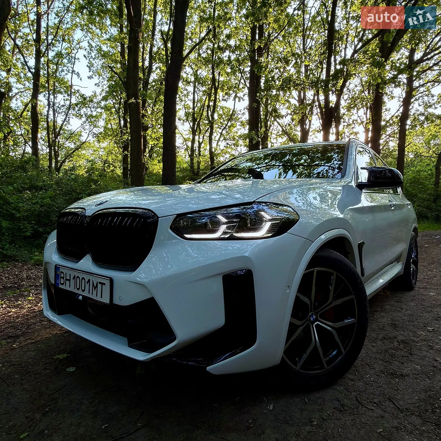 2019 BMW X3 - мініатюра 15