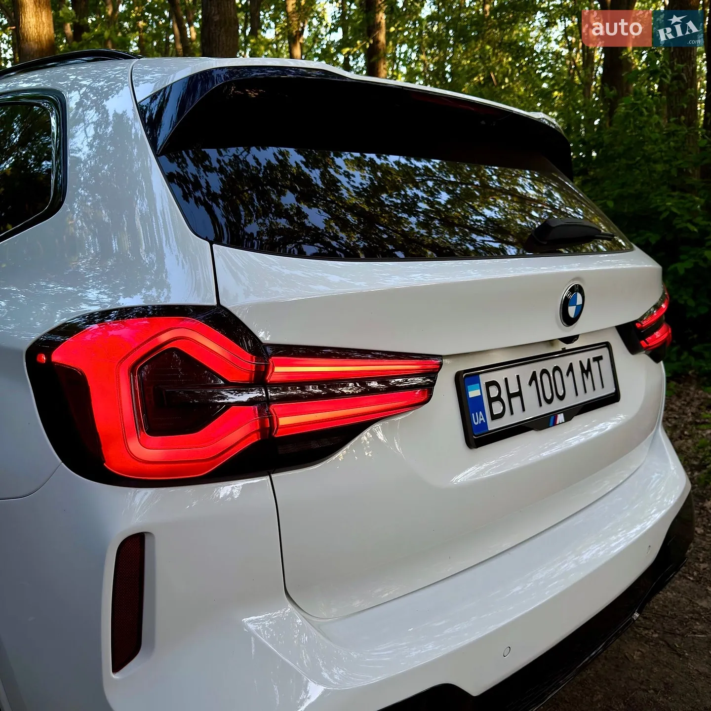 2019 BMW X3 - мініатюра 30