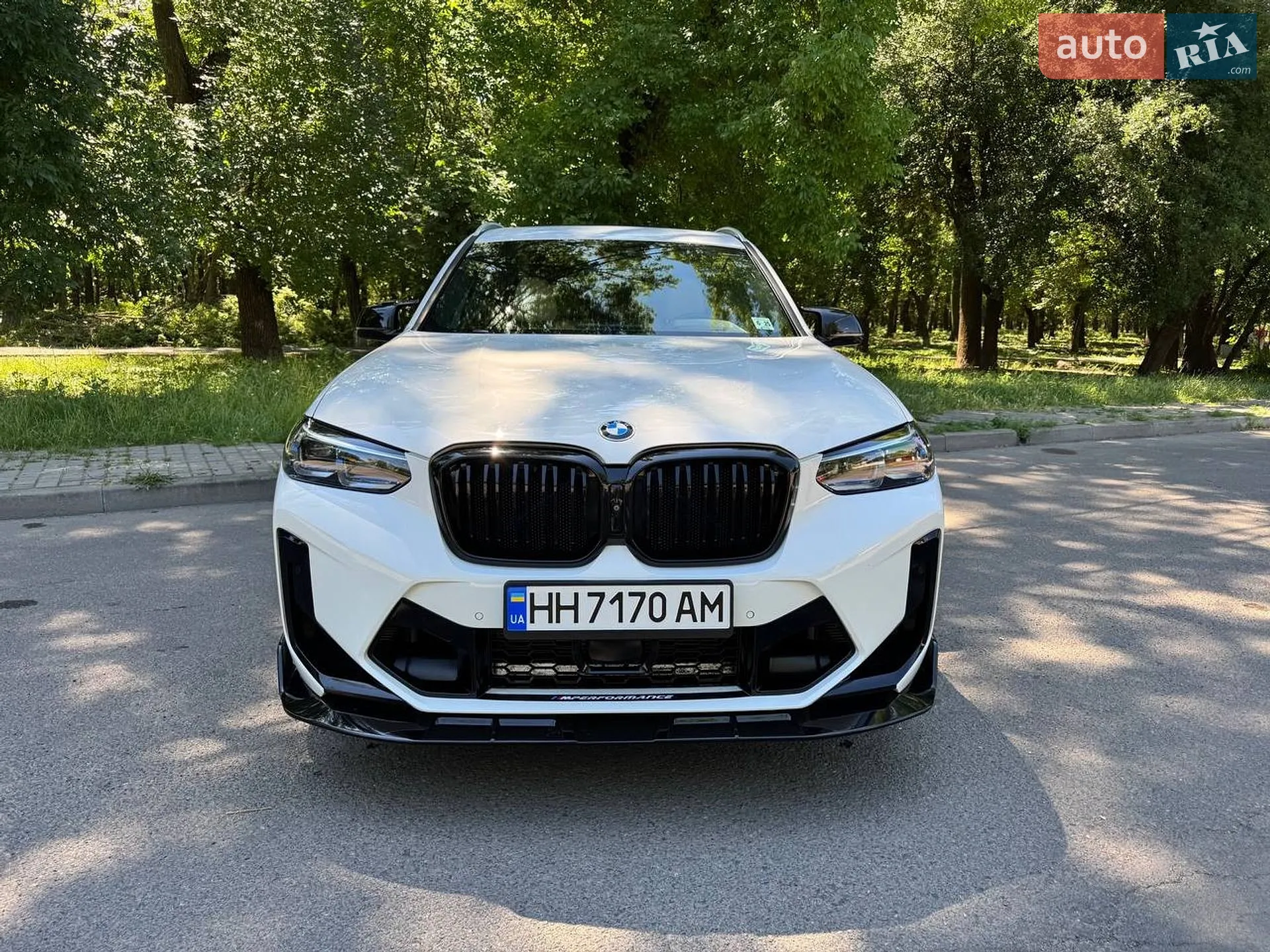 2019 BMW X3 - мініатюра 10