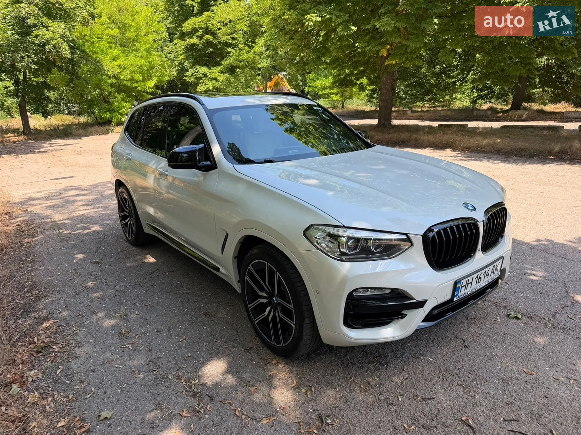 2019 BMW X3 - мініатюра 19
