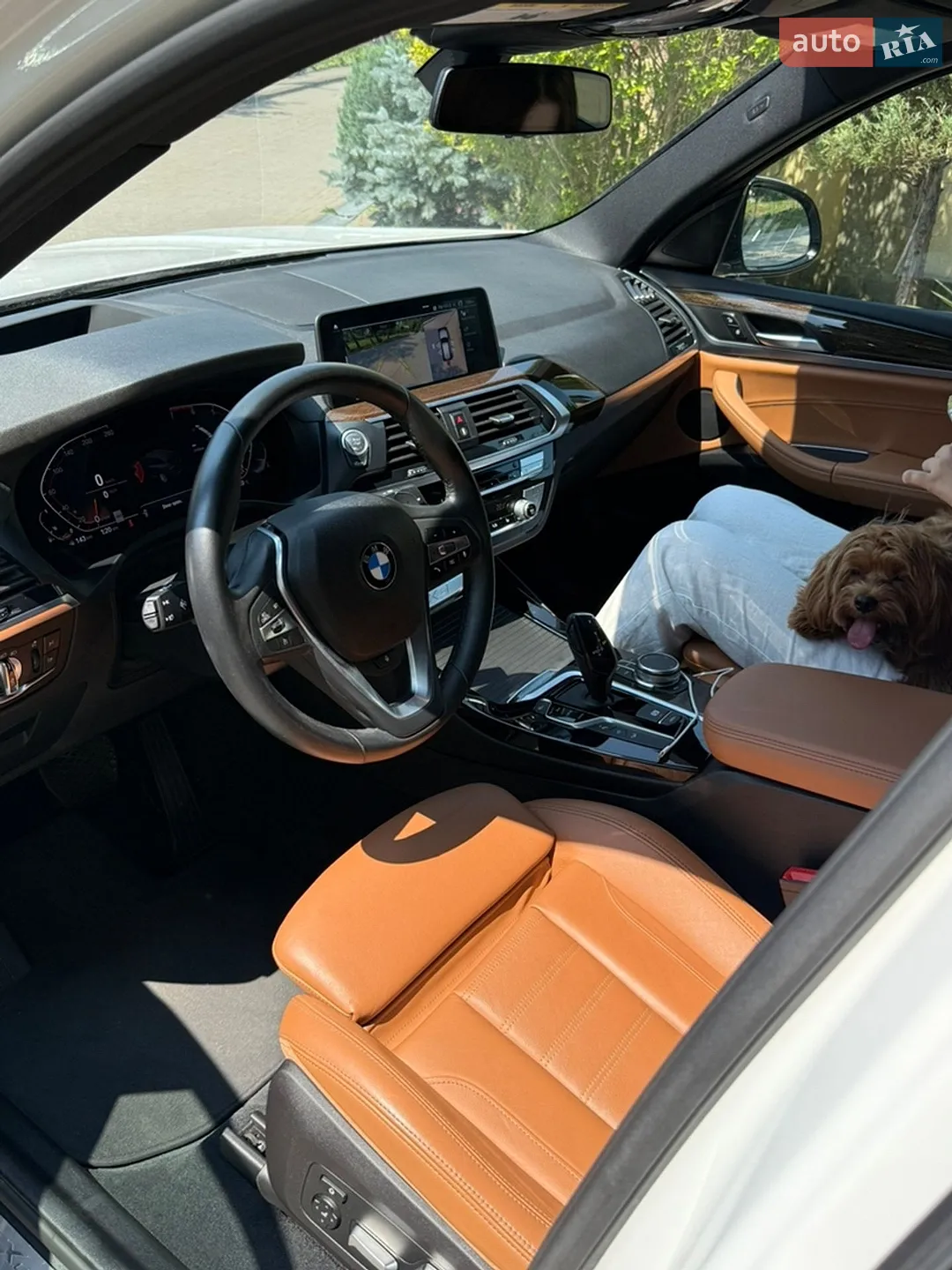 2020 BMW X3 - мініатюра 18