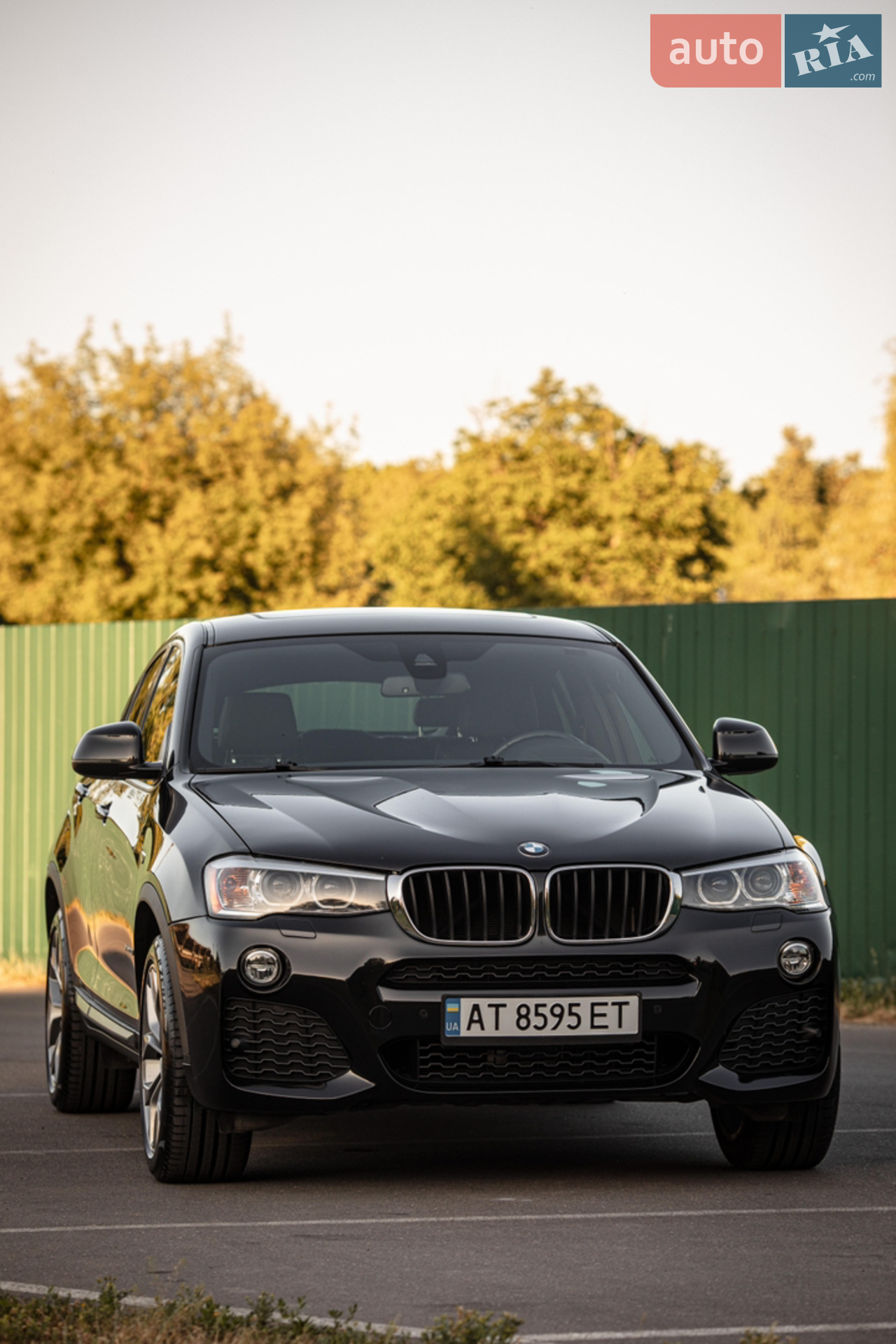 2017 BMW X4 - мініатюра 2