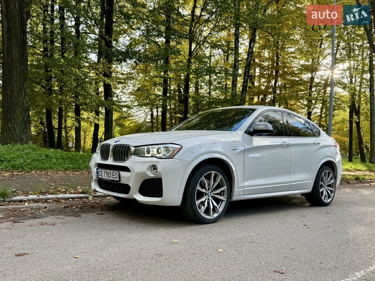 2017 BMW X4 - мініатюра 2