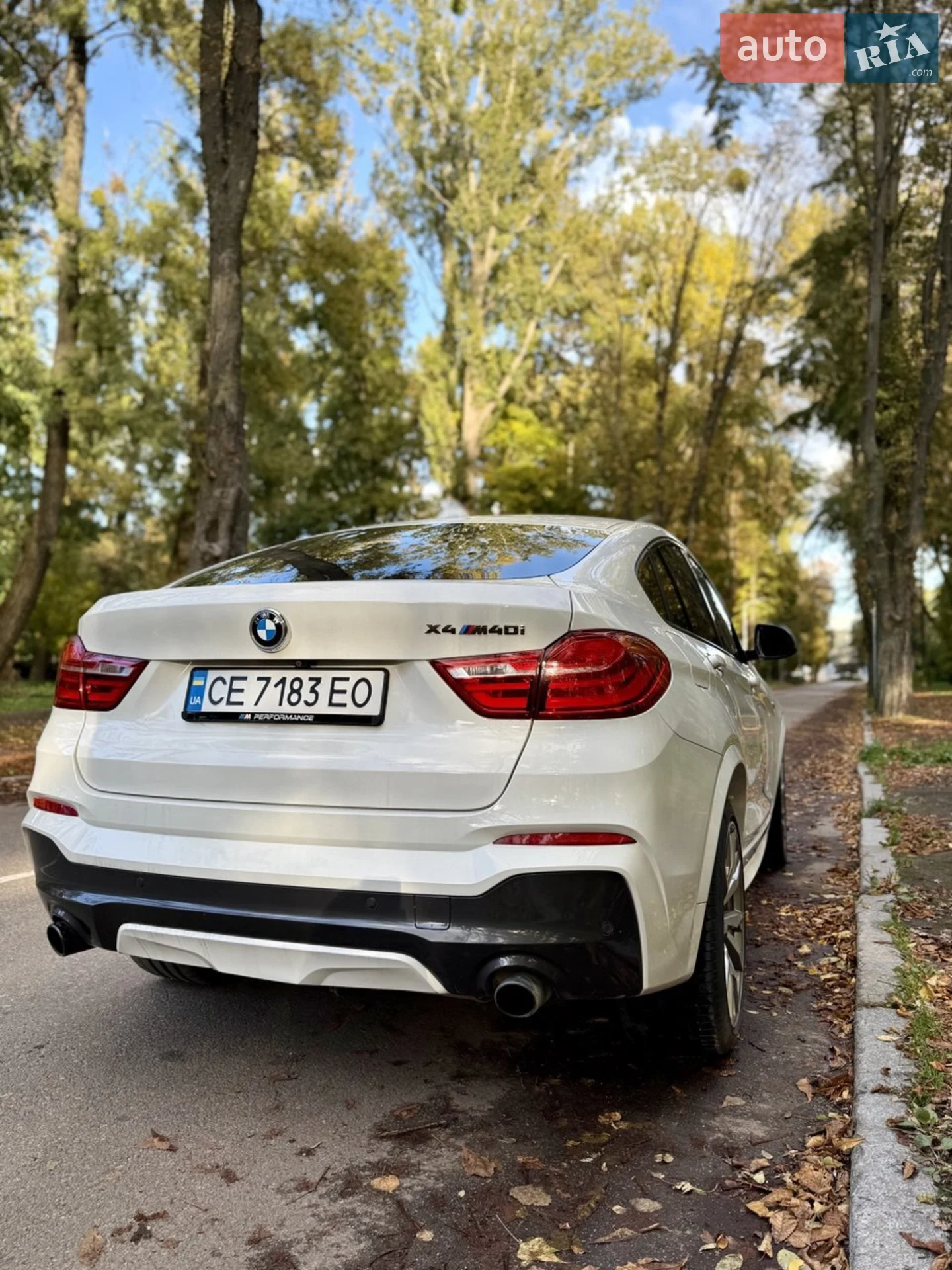 2017 BMW X4 - мініатюра 9