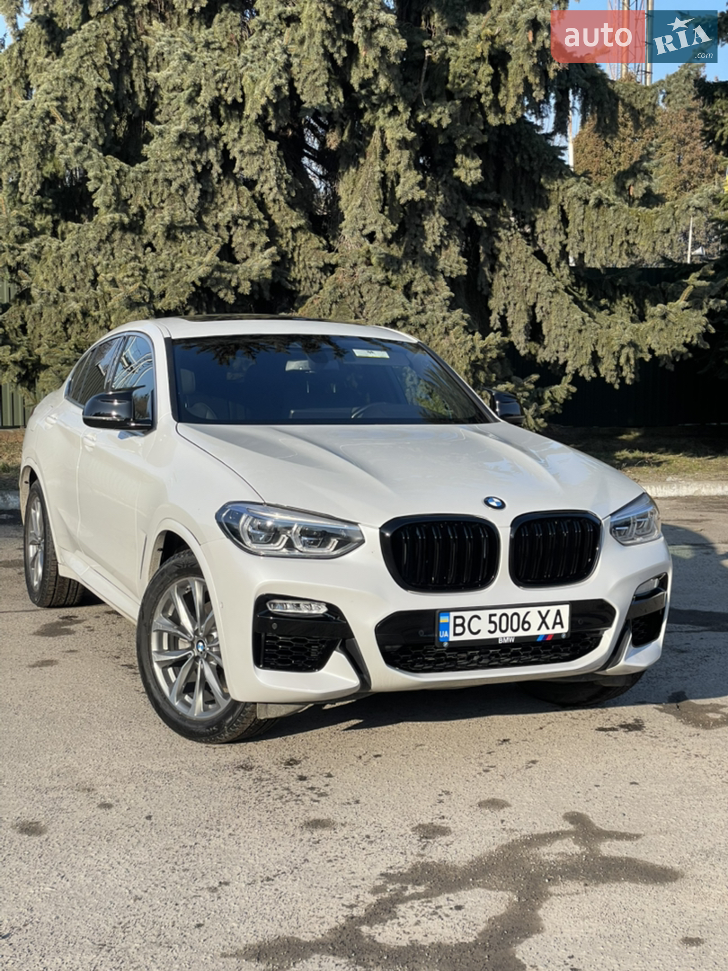 2019 BMW X4 - мініатюра 23