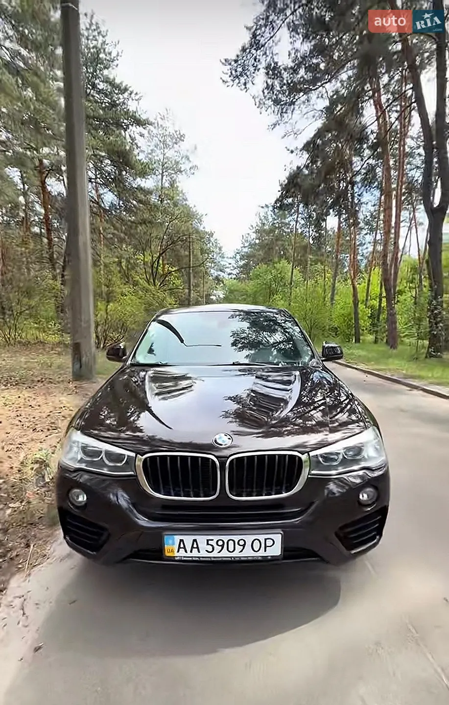 2015 BMW X4 - мініатюра 17