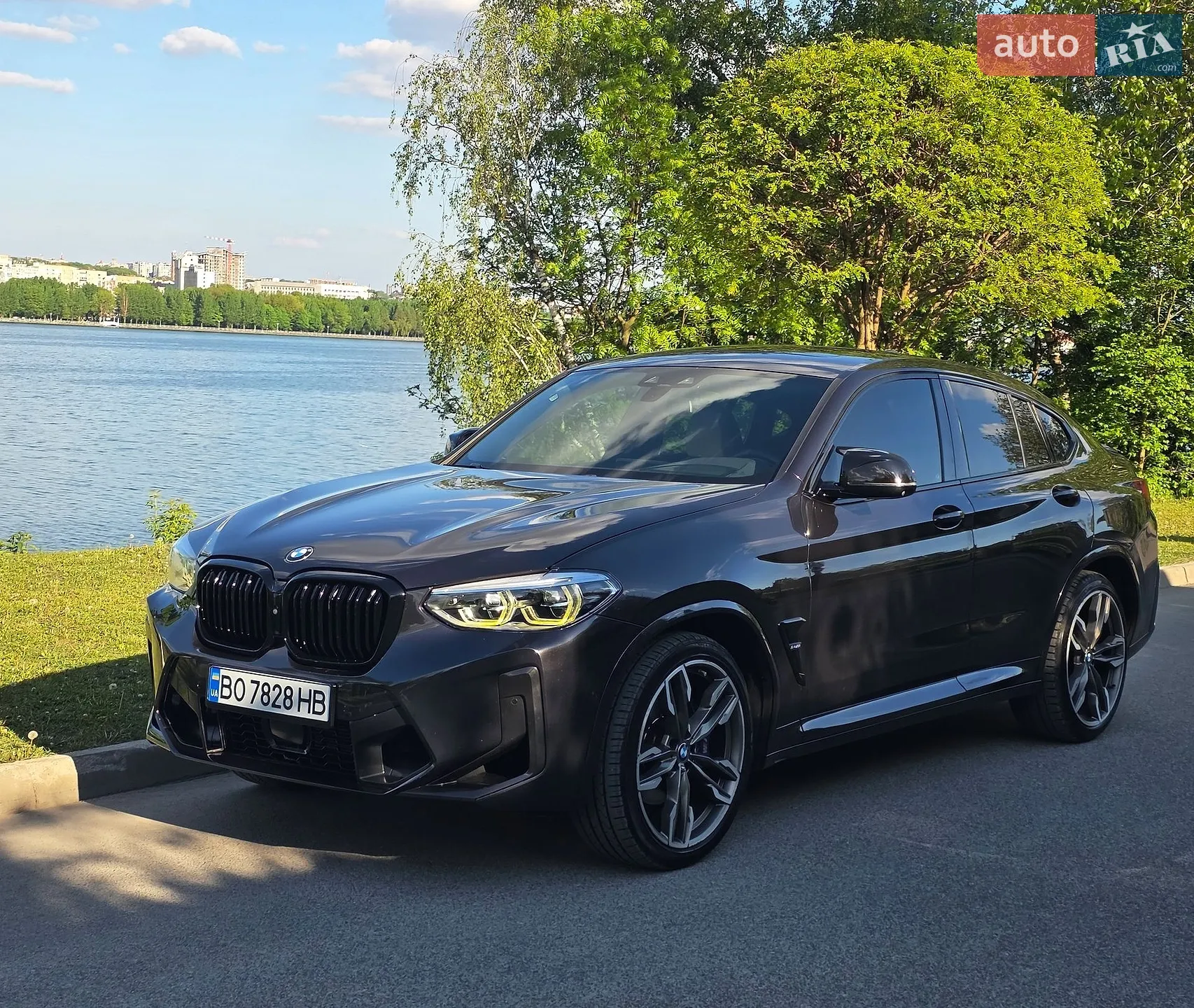 2019 BMW X4 - мініатюра 19