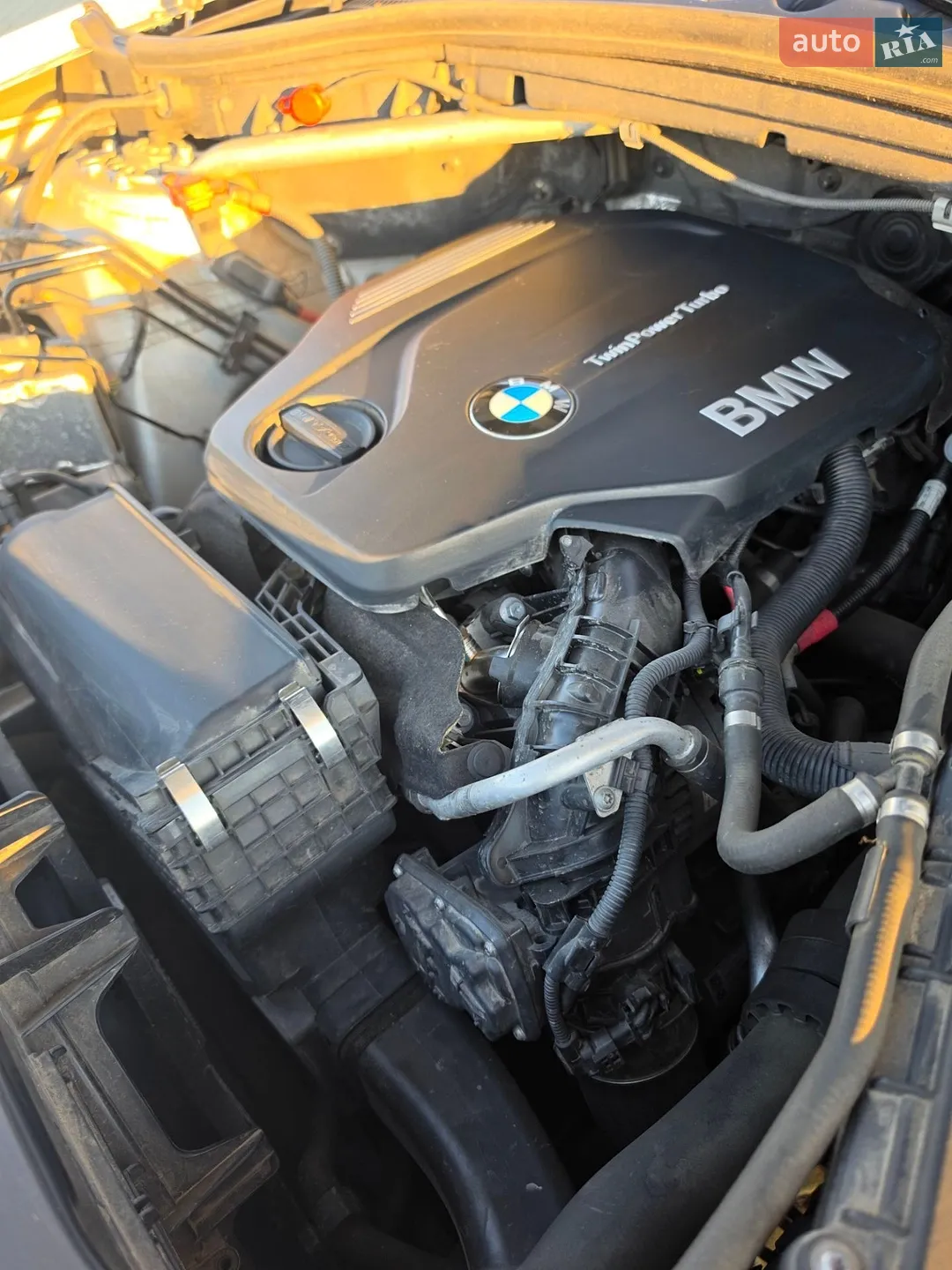 BMW X4 2014 VIN WBAXX1103F0L88023 фото оголошення 17 з 42