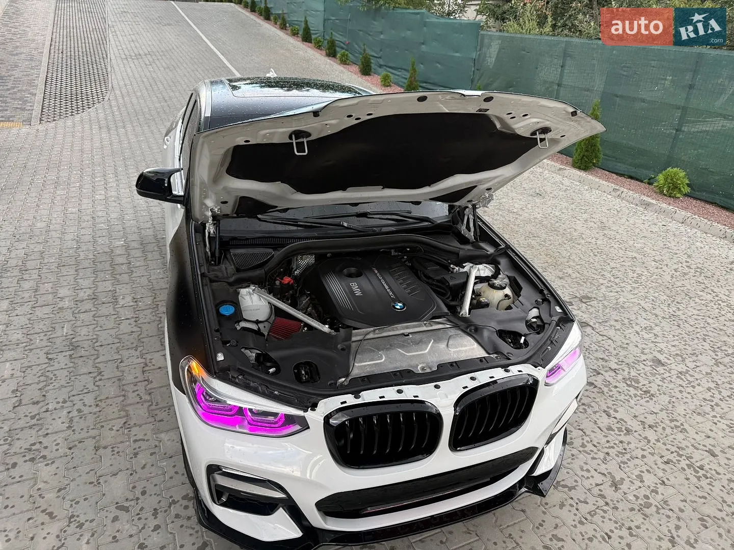 2019 BMW X4 - мініатюра 20