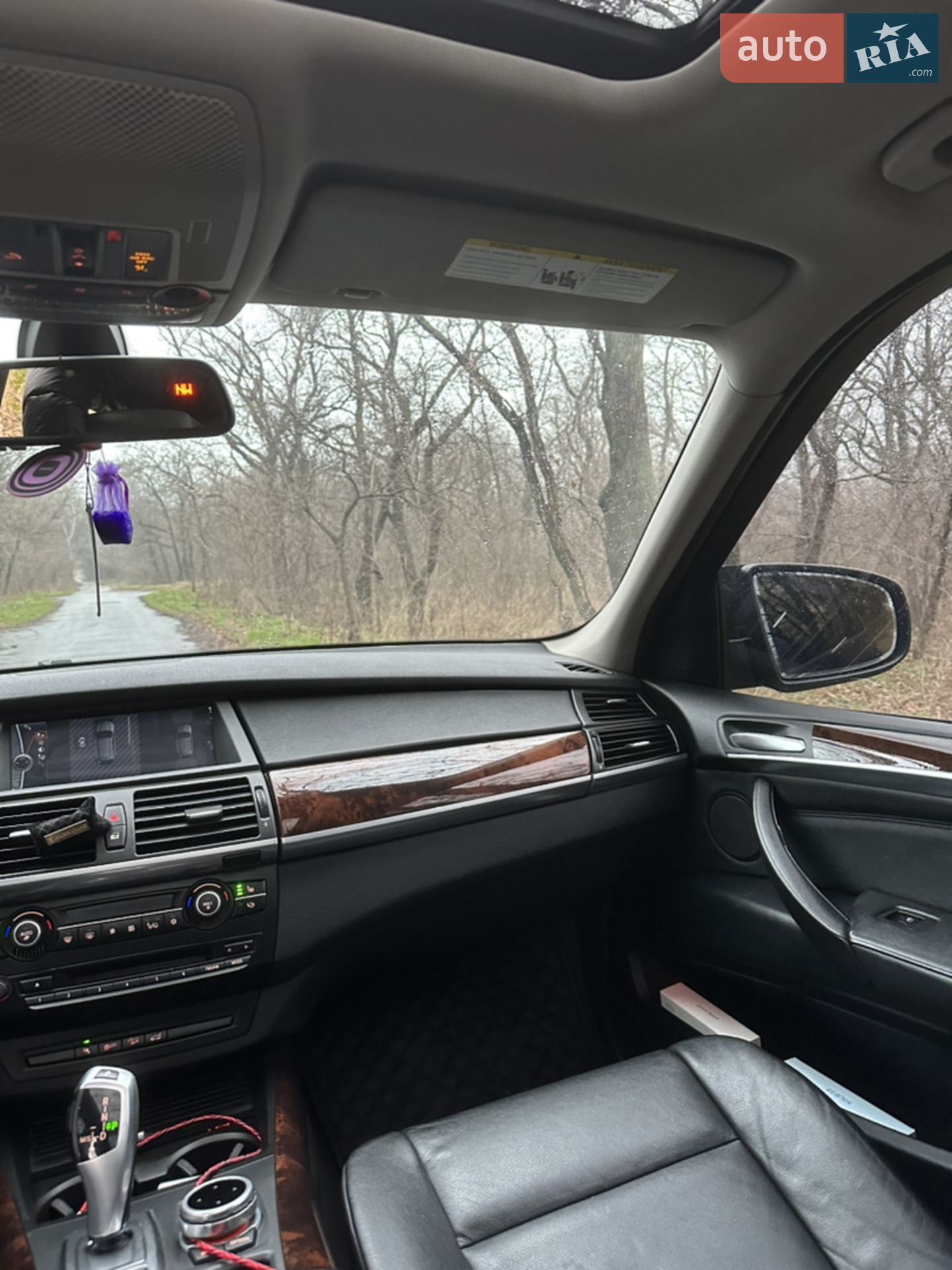 2010 BMW X5 - мініатюра 11