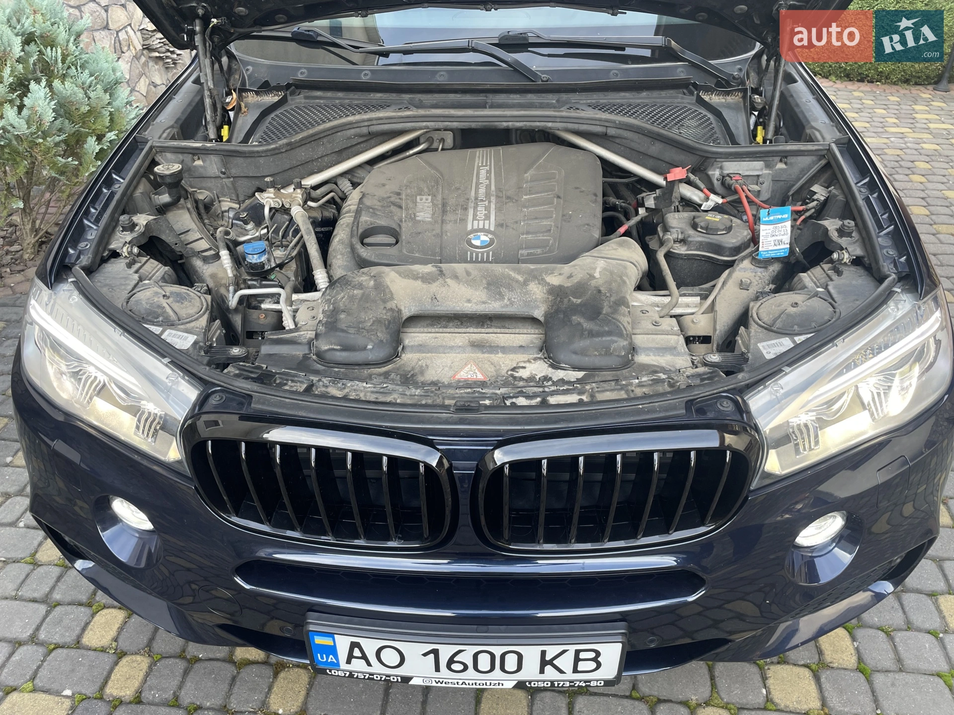 2015 BMW X5 - мініатюра 18