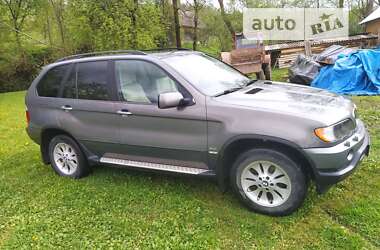 Позашляховик / Кросовер BMW X5 2003 в Міжгір'ї