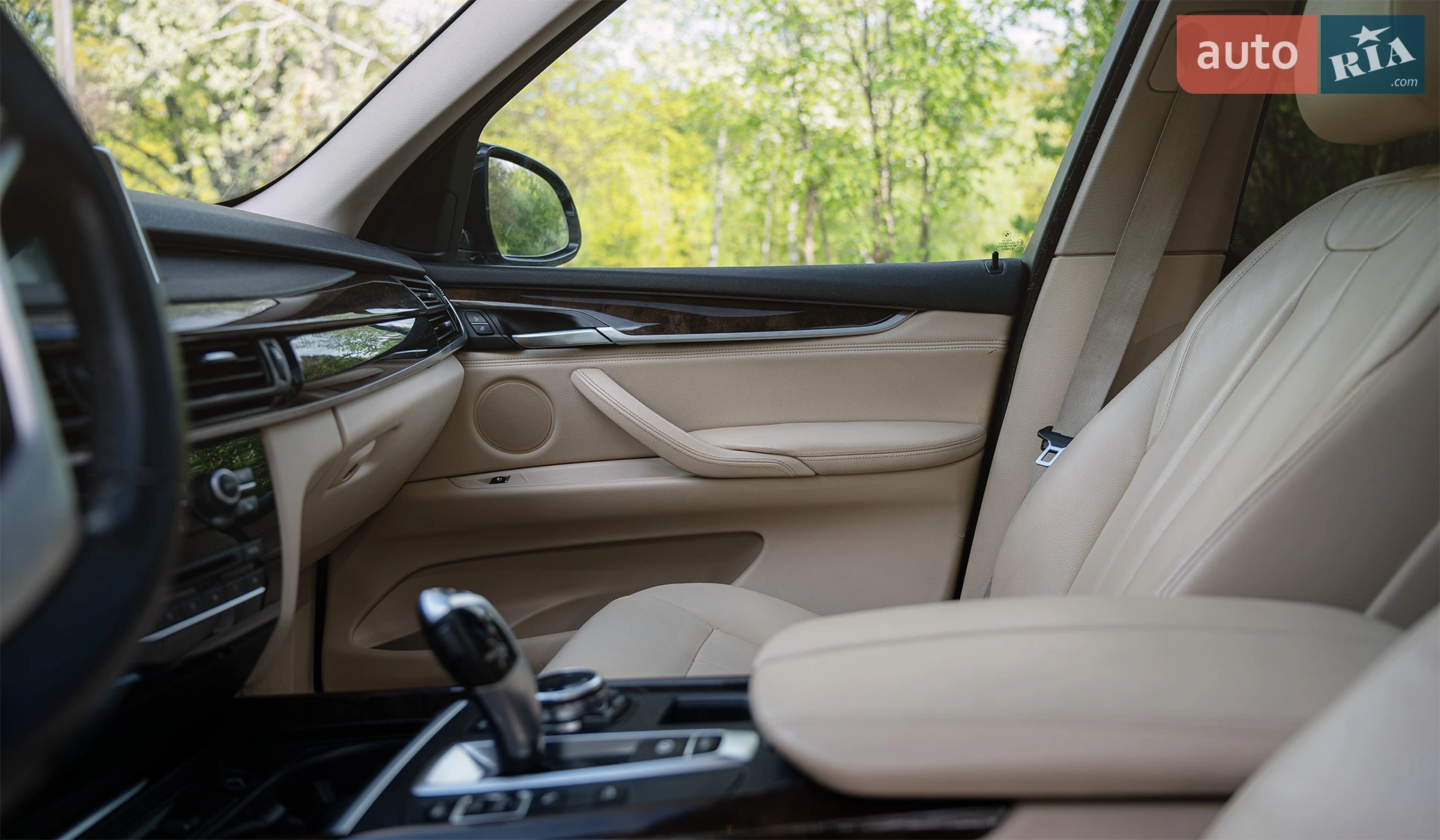 2013 BMW X5 - мініатюра 14