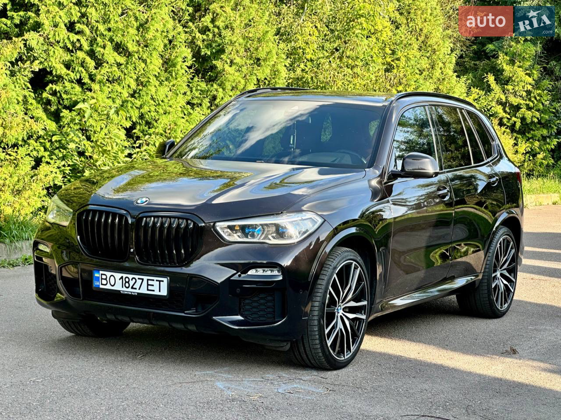 2019 BMW X5 - мініатюра 8