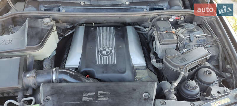Позашляховик / Кросовер BMW X5 2003 в Харкові