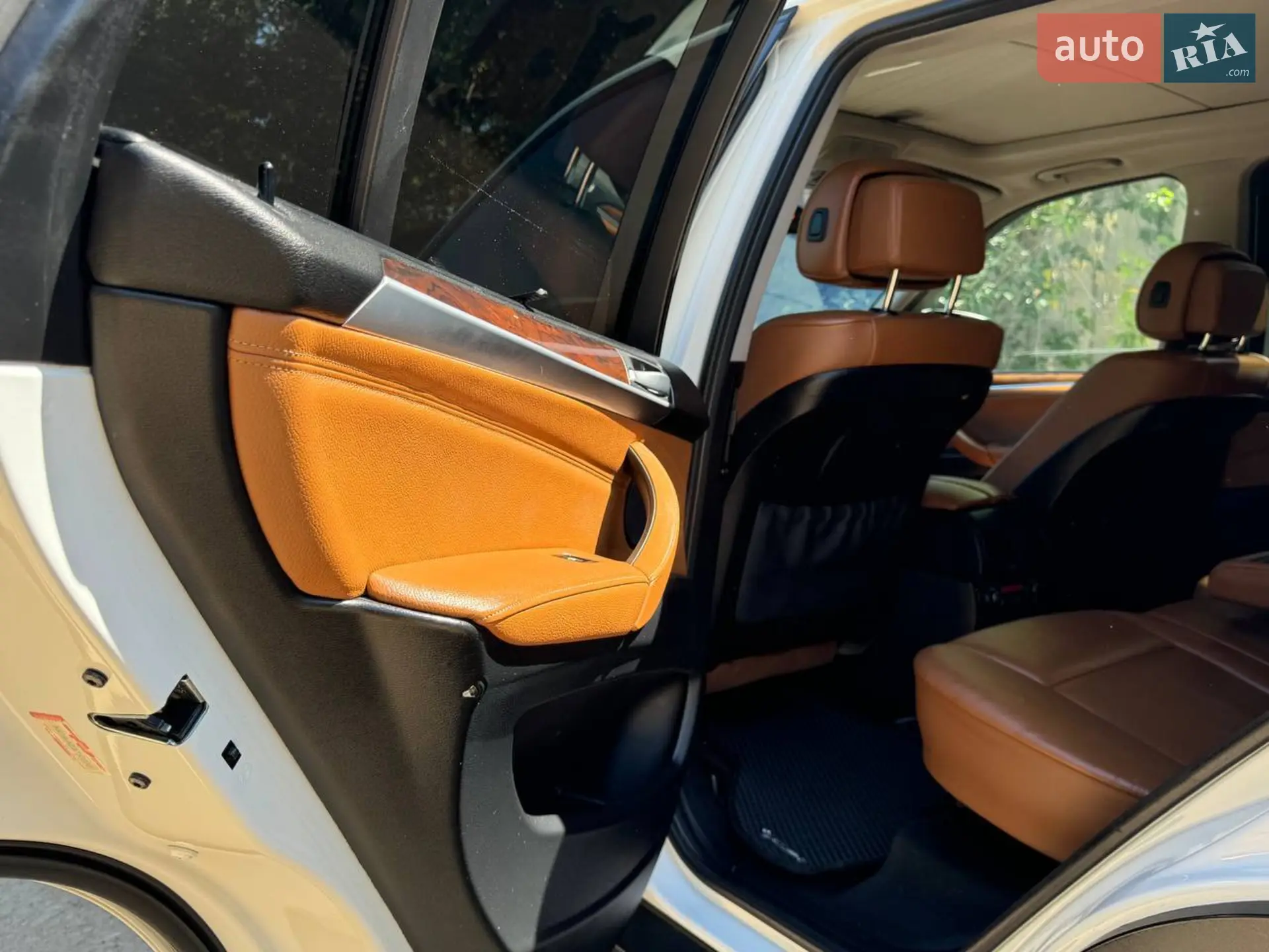 2010 BMW X5 - мініатюра 7