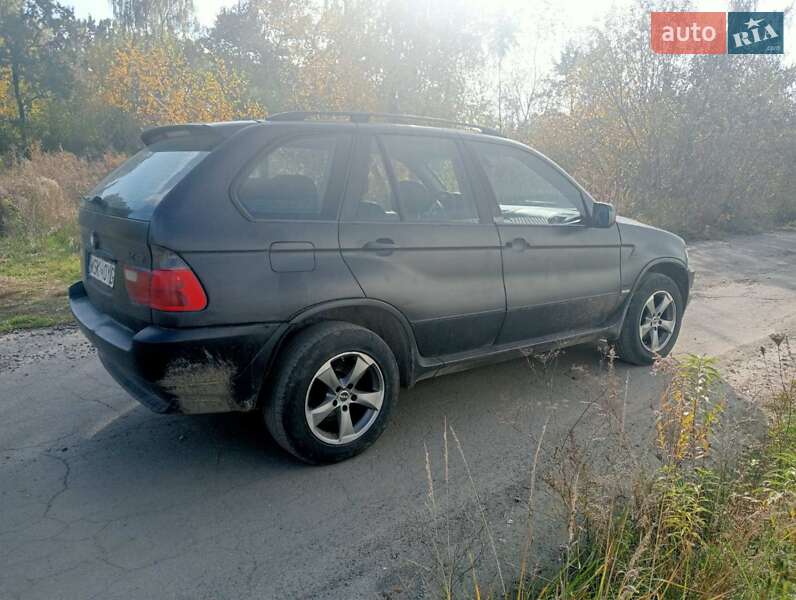 Позашляховик / Кросовер BMW X5 2003 в Луцьку фото 3 Позашляховик / Кросовер BMW X5 2003 в Луцьку