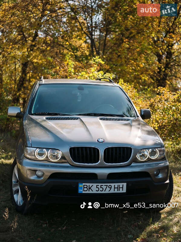 Позашляховик / Кросовер BMW X5 2005 в Дубровиці фото 4 Позашляховик / Кросовер BMW X5 2005 в Дубровиці