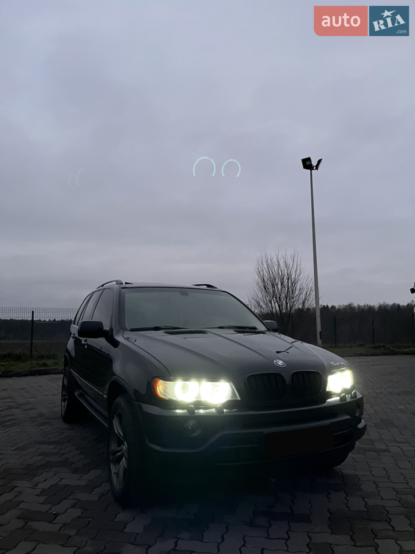 BMW X5 2001 VIN WBAFB310X0LP01323 фото оголошення 5 з 16