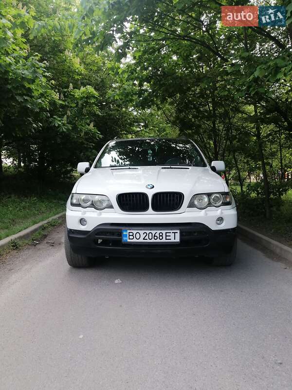 Позашляховик / Кросовер BMW X5 2002 в Вінниці
