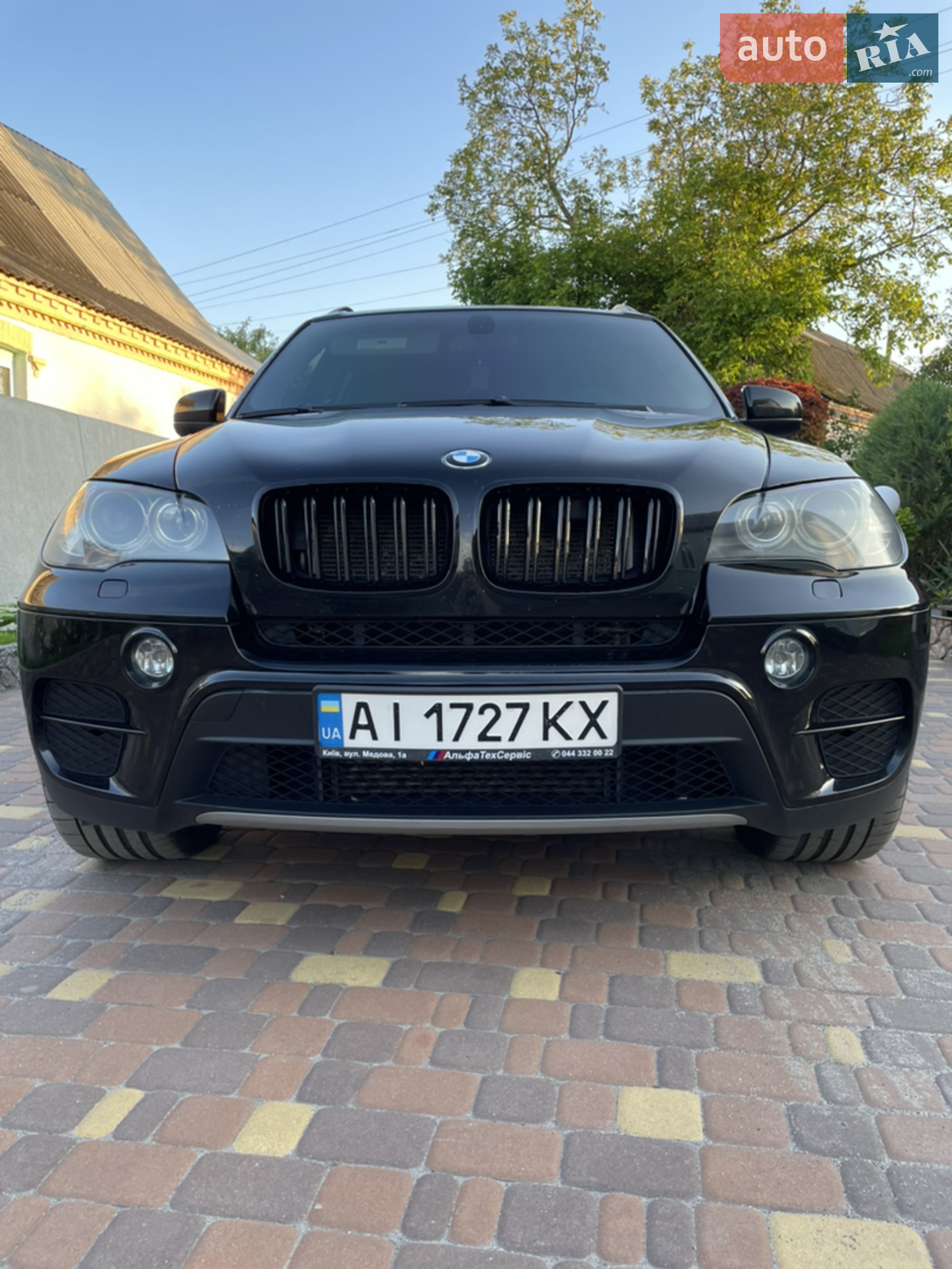 2010 BMW X5 - мініатюра 2