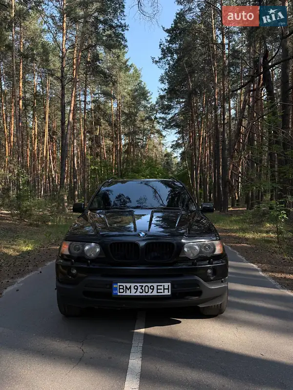 BMW X5