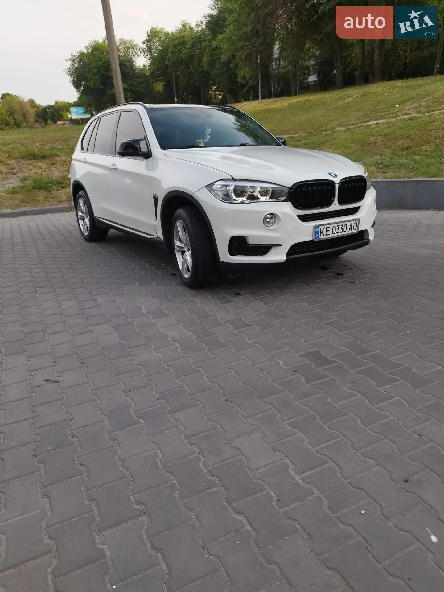 2014 BMW X5 - мініатюра 4
