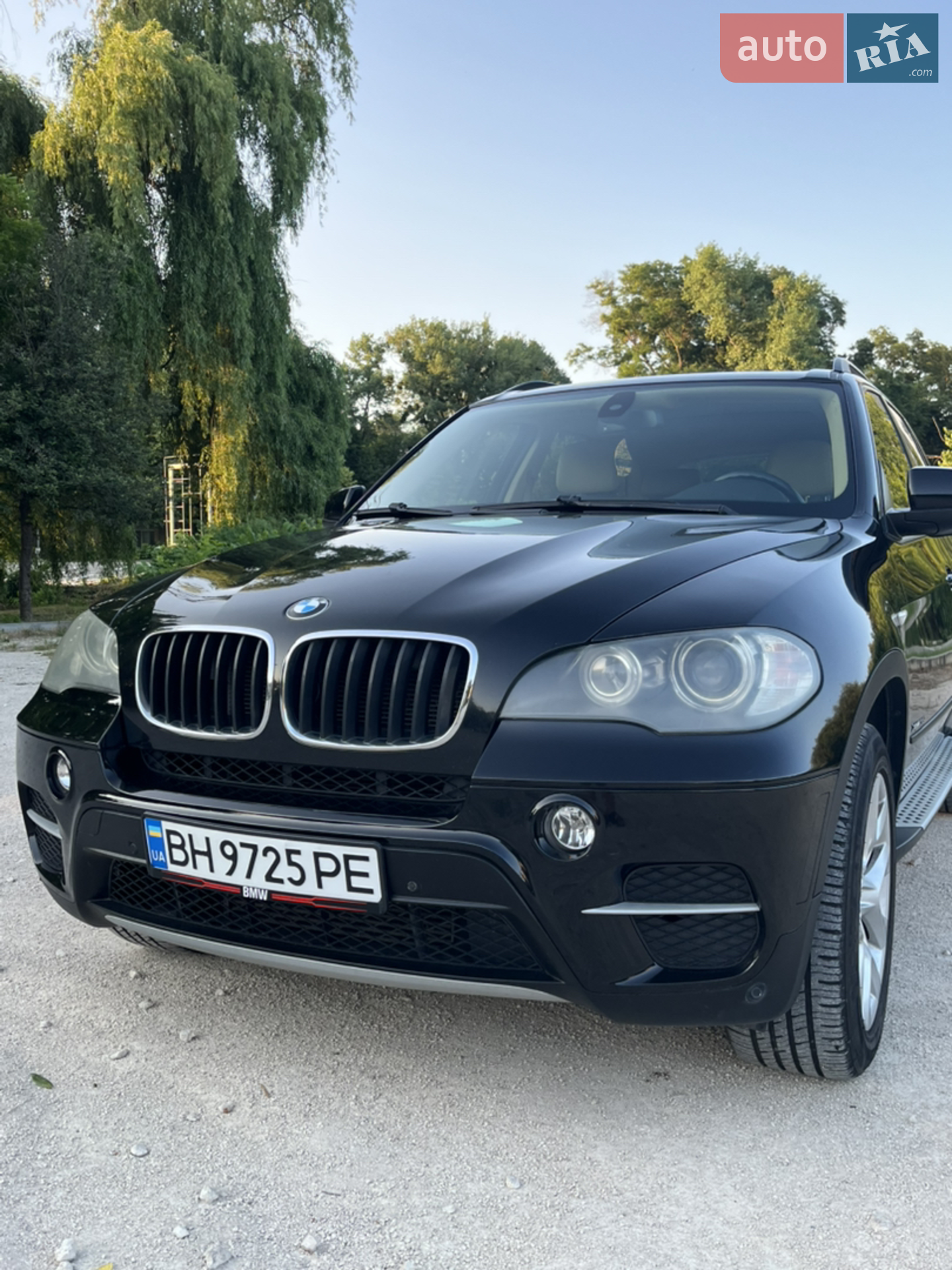 2010 BMW X5 - мініатюра 4