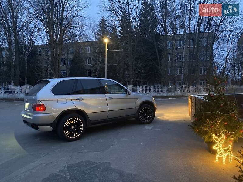 Внедорожник / Кроссовер BMW X5 2003 в Обухове фото 10 Внедорожник / Кроссовер BMW X5 2003 в Обухове